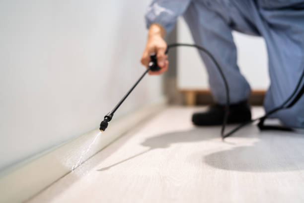 Licensed Termite Control service in Pardeeville, WI - Show Me Pest Control